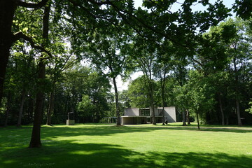 museum in the forest