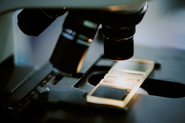 Microscope slide placed under the lenses of a laboratory microscope showing detailed components and parts. Image captures intricate details within a scientific research setting