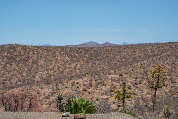 Naklejka premium Baja California Mexico
