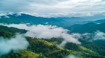 Aerial View of Lush Green Mountains Shrouded in Mist