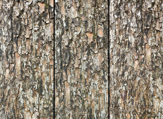 texture mosaic pattern plate metal brick tile stone rock earth sand wood marble granite detail plant tree leaf vegetation staircase city urban entrance palace sculpture grille door window pilaster