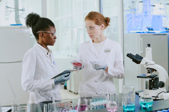 Two scientists in white lab coats collaborating in laboratory setting holding lab equipment and discussing results, with microscope and beakers on workbench visible during work