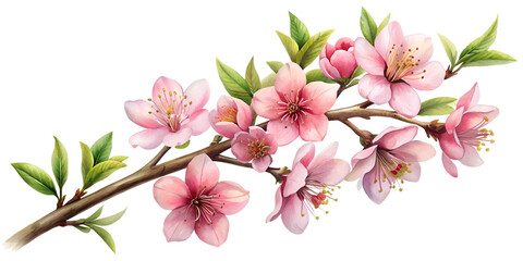 Obraz premium Cherry Blossom Branch Elegance