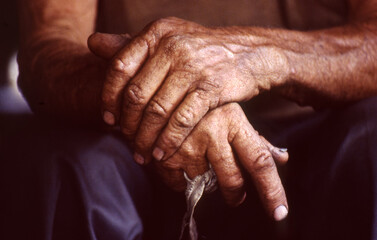 Fototapeta premium Beautiful worn and weathered hands of an older man