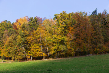 Fototapeta premium Colorful autumn Landscape in Bohemian Paradise, Czech Republic 