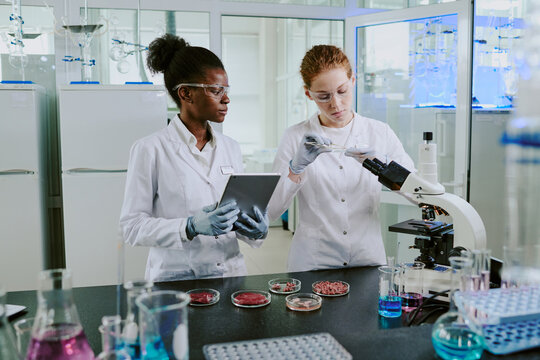 Two scientists examining petri dishes containing samples, with one using a microscope and the other holding a tablet, surrounded by laboratory equipment.
