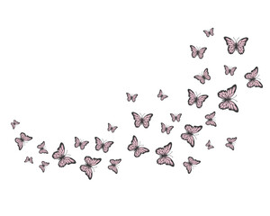 watercolor butterfly flock of butterfly set