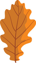 Illustration of an autumn leaf from a tree in orange isolated on a white background