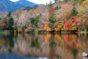 Naklejka premium 深まる奥日光の紅葉風景 