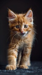 photo of a cute ginger kitten with vibrant fur and bright eyes, embodying the innocence playfulness