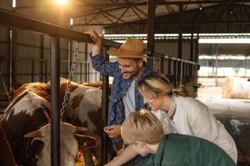 A family enjoying their time on a petting farm inside a cow barn