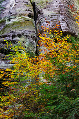 Colorful autumn Landscape in Bohemian Paradise, Czech Republic 