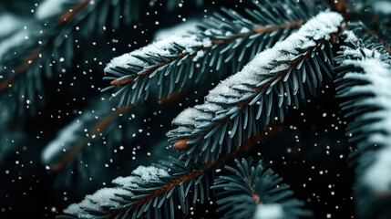 Close-up of snow-covered pine branches with falling snowflakes on dark background