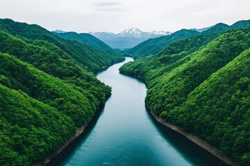 Aerial view of a winding river flowing through a valley, with lush green forests on both sides and snow-capped mountains in the background.