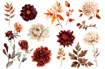 Autumnal Floral Collection: Watercolor illustrations of dahlias, chrysanthemums, and autumn leaves in warm, earthy tones. Perfect for fall designs and projects.