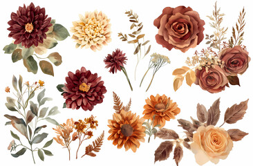 Autumnal Floral Collection: A curated set of watercolor flowers and leaves in warm autumnal hues, perfect for fall-themed designs and projects.