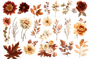 Autumnal Floral Collection: A curated set of watercolor autumn flowers and leaves in earthy tones, perfect for fall-themed designs and projects.