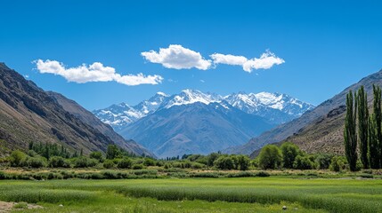 Obraz premium Majestic Mountain Landscape with Lush Green Fields and Clear Blue Sky