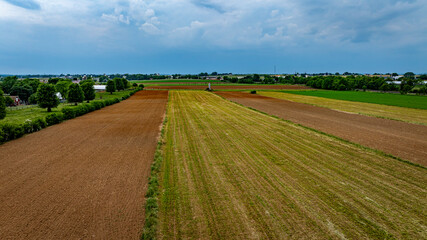 A field with a mix of green and brown grass. The sky is cloudy and the sun is not visible