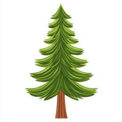 Obraz premium Pine tree illustration on white isolated background.