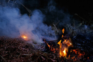 burning conflagration, smoldering ash, charred dry grass in forest, acrid gray smoke, wildfire, rural fire unplanned, uncontrolled and unpredictable fire in area combustible vegetation, harming nature