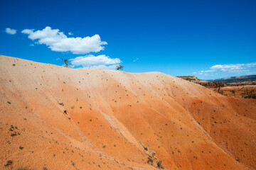 landscape in the desert