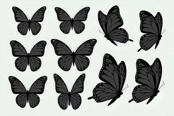 Fototapeta premium Set of Graceful Butterfly Silhouettes in Black and White