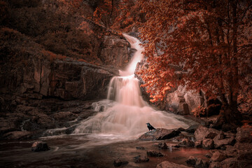 Cascade d'automne 
