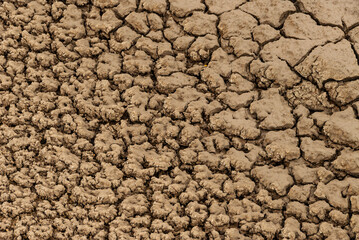 soil in a geothermal area
