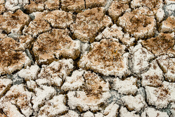 soil in a geothermal area