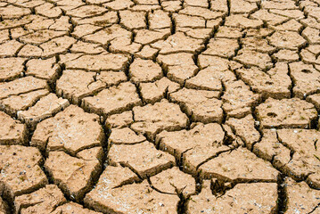 dry soil due to geothermal and hot spring areas in Iceland