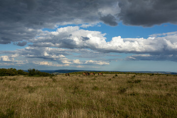 Fototapeta premium clouds over the river