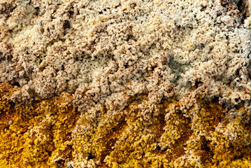 cracked ground with cracks, its notoriety chiefly because of its sulphurous mud springs called solfataras and steam springs called fumaroles.