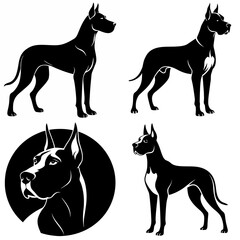 dog, animal, black, vector, pet, silhouette, illustration, isolated,doberman great done 