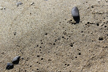 Small sea creature's holes on the sandy beach