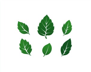 Green leaf icons isolated on a white background, designed as simple shapes in a flat color style, suitable for eco-friendly product packaging or natural brand logo templates.