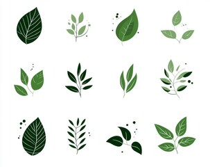Green leaf icons isolated on a white background, designed as simple shapes in a flat color style, suitable for eco-friendly product packaging or natural brand logo templates.
