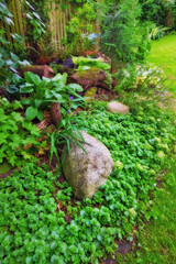 Obraz premium Nature, growth and peace with rock in garden for environment, sustainability and spring season. Grass ecology, meadow and biology with plants in countryside for botanical, bloom and ecosystem