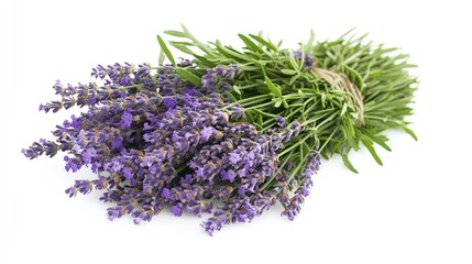 Fresh lavender bouquet tied with twine on white background.