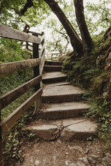 wooden bridge in the forest Lake District UK