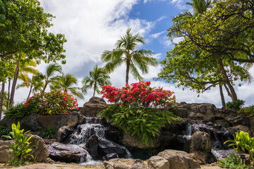 a gorgeous waterfall with colorful flowers and lush green trees and plants at Waikiki Beach in...