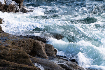 Scotland 38