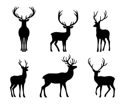 Jeleń - sylwetki na białym tle. Ilustracja wektorowa.