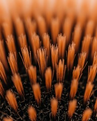 A closeup of a hairbrush with strands of hair, depicting hair loss and the need for hair strengthening solutions.