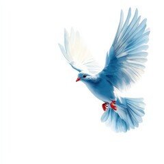 Obraz premium Blue bird with flowing wings in mid-flight, white isolate background.