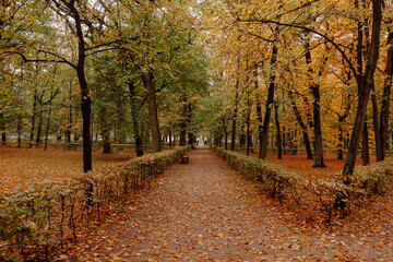 Lazienki Park Warszawa autumn