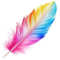 Vibrant rainbow feather with striking colors on a white isolated background.