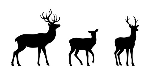 Jeleń - sylwetki na białym tle. Ilustracja wektorowa. © Monika