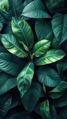 Fototapeta premium Tropical Leaves Pattern
