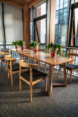 Modern Dining Space with Natural Light and Indoor Plants